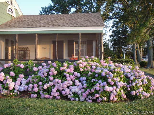 938 Plainview Road Topping, VA 23169 - Photo 39 of 43 LANDSCAPING
