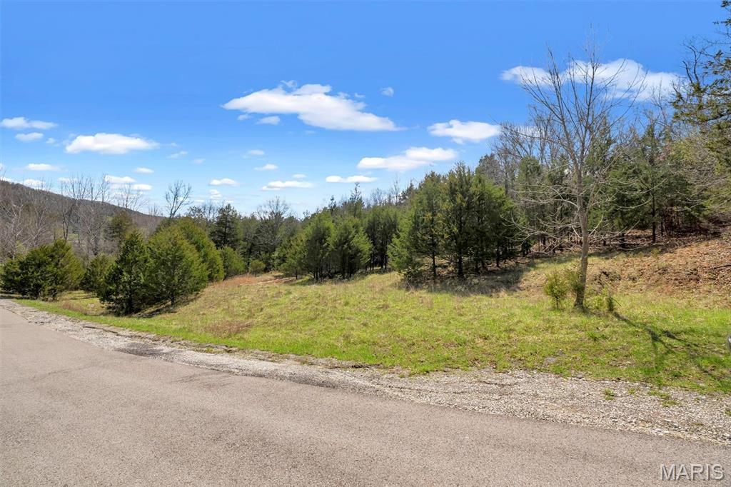 Lot 1 Freeman Pacific, MO 63069 - Photo 2 of 16