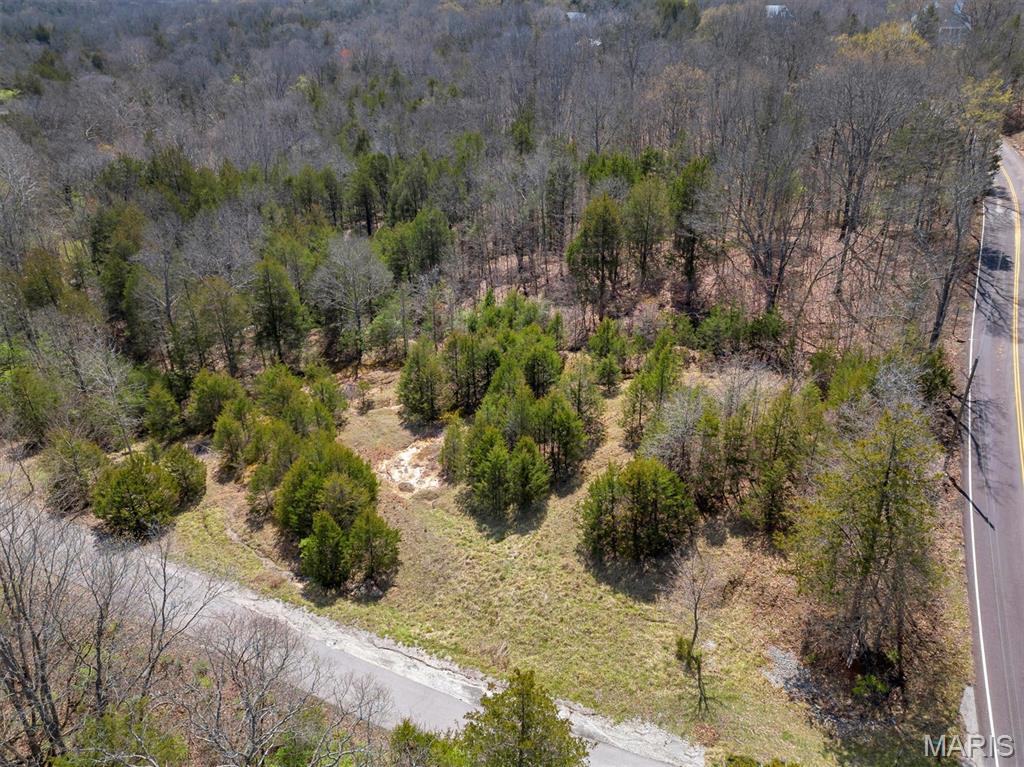 Lot 1 Freeman Pacific, MO 63069 - Photo 4 of 16