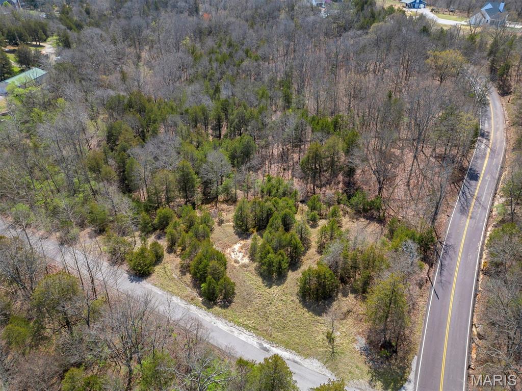 Lot 1 Freeman Pacific, MO 63069 - Photo 8 of 16