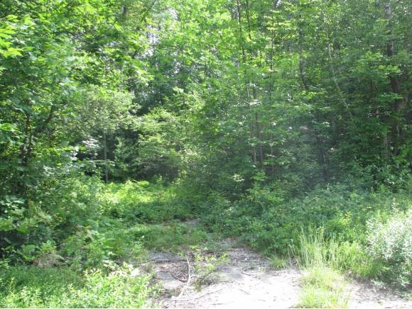 Lot 18 Porter Road Freedom, NH 03836 - Photo 2 of 2 Gallery Image 2