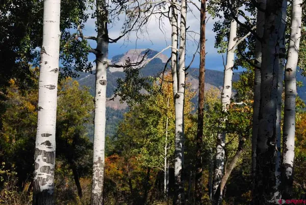 $649,000 | 1100 Navajo Peak Place, Chromo, CO 81128