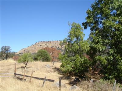 44897 Longview Road Squaw Valley, CA 93675 - Photo 3 of 6 Gallery Image 3