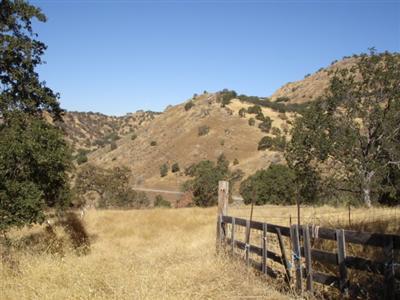 44897 Longview Road Squaw Valley, CA 93675 - Photo 5 of 6 Gallery Image 5
