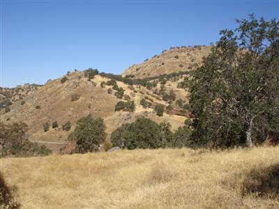 44897 Longview Road Squaw Valley, CA 93675 - Photo 6 of 6 Gallery Image 6