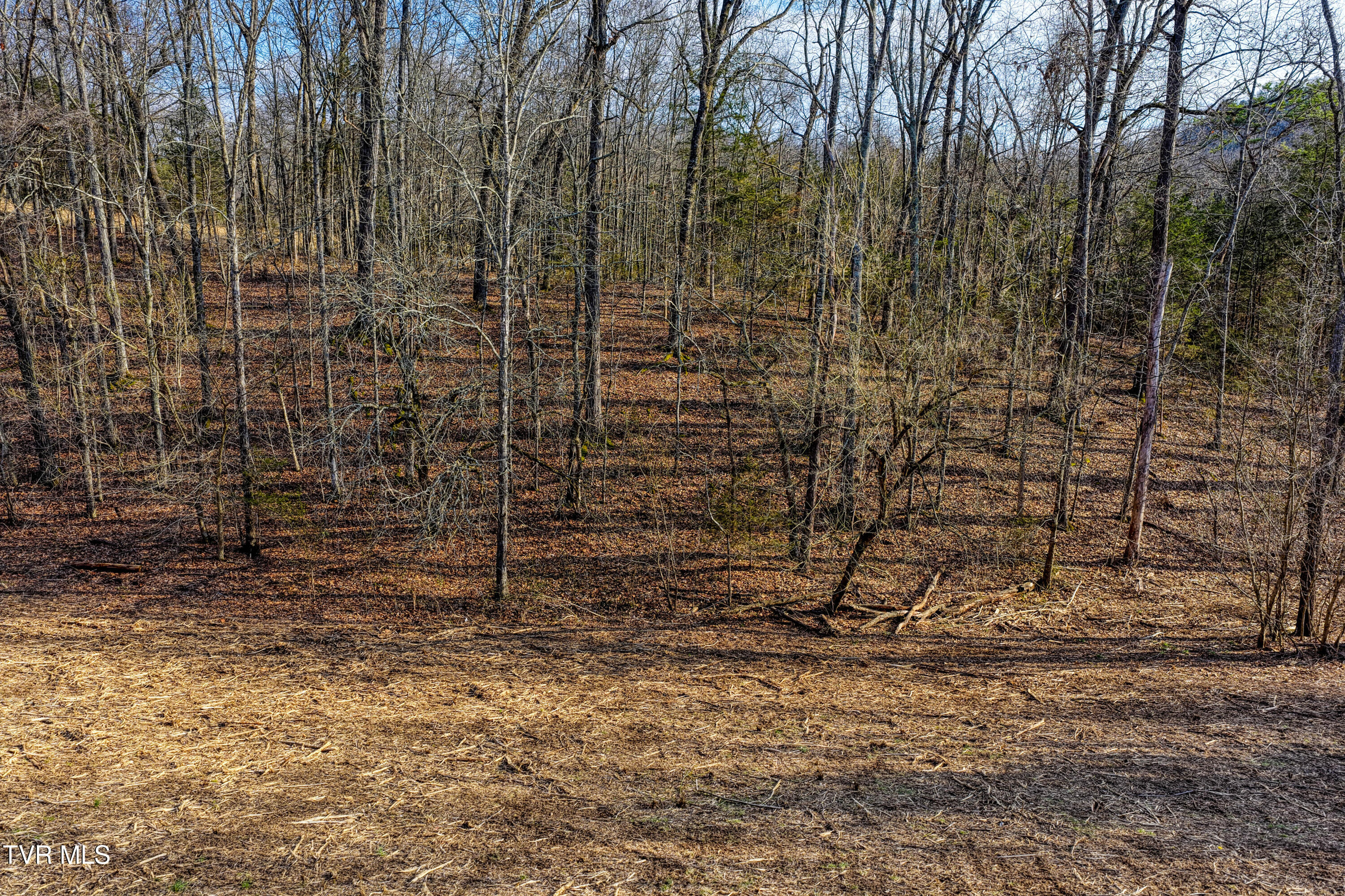 3870 Dulaney Road Mosheim, TN 37818 - Photo 18 of 41 3870 Dulaney. Gvl MLSa (18 of 22)