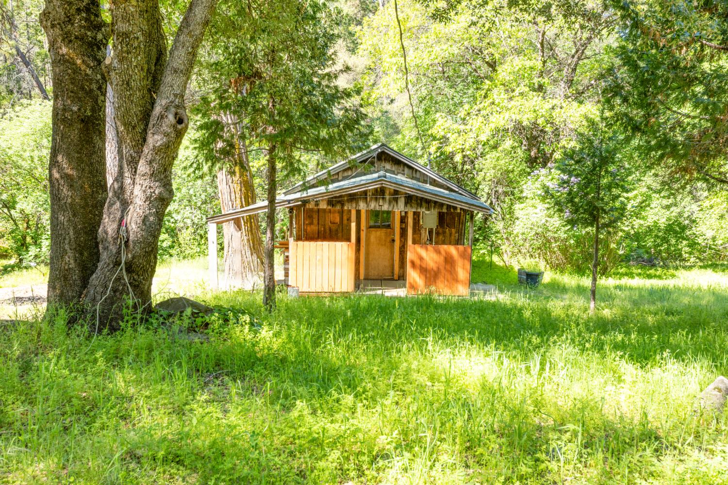 a yellow house with trees in front of it