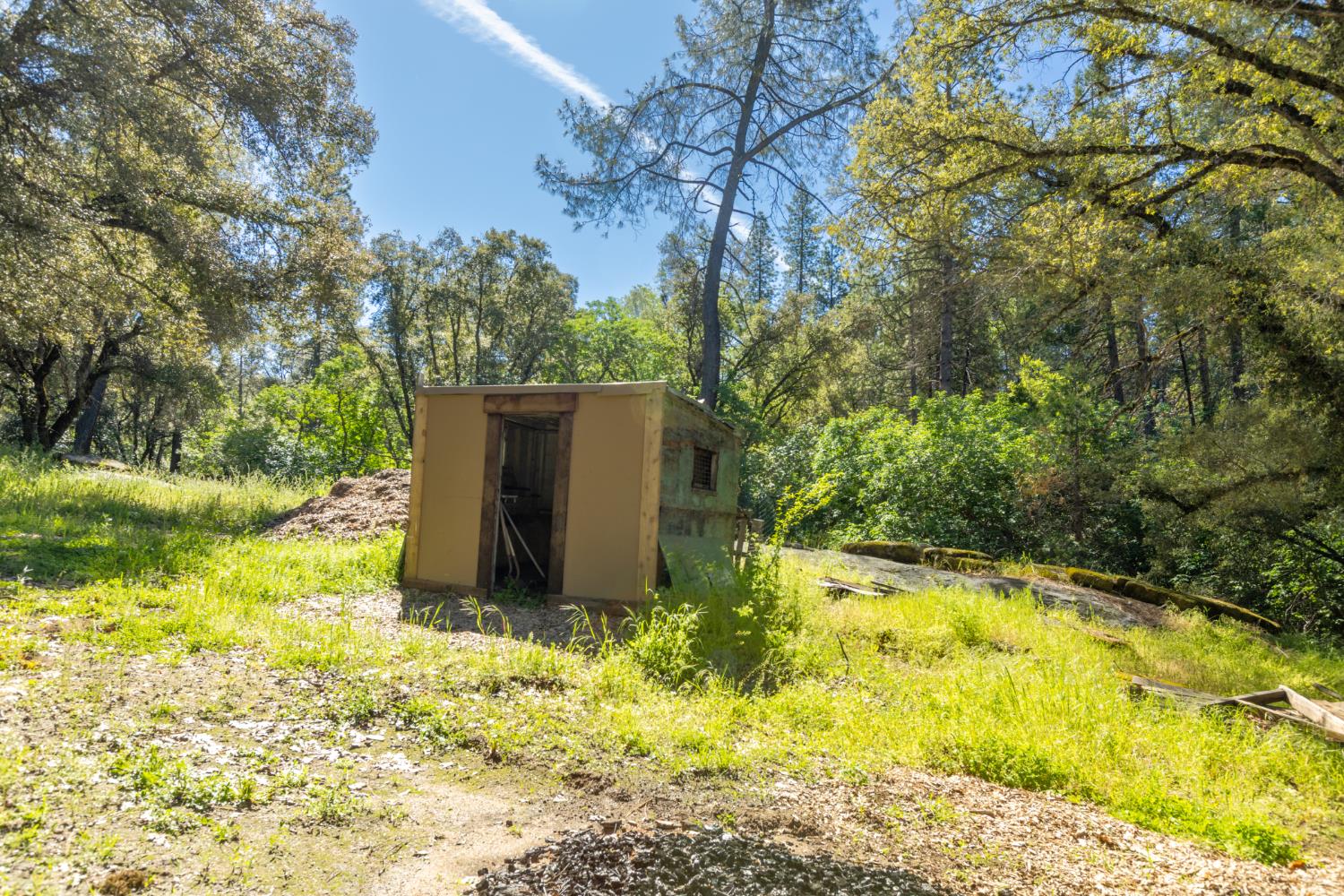 7220 Grizzly Flat Road Somerset, CA 95684 - Photo 11 of 28 a view of a yard with large trees