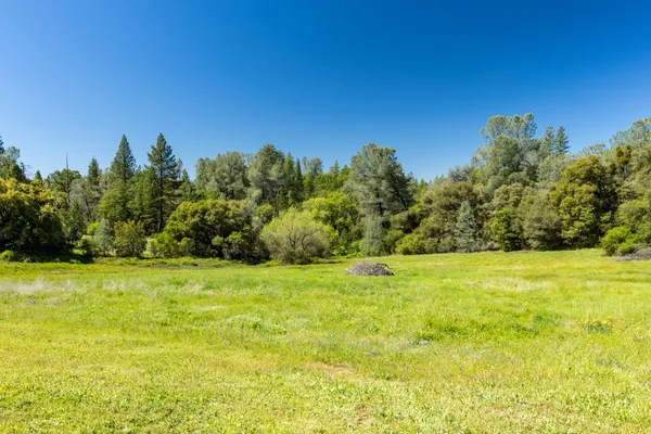 a view of a big yard with an trees