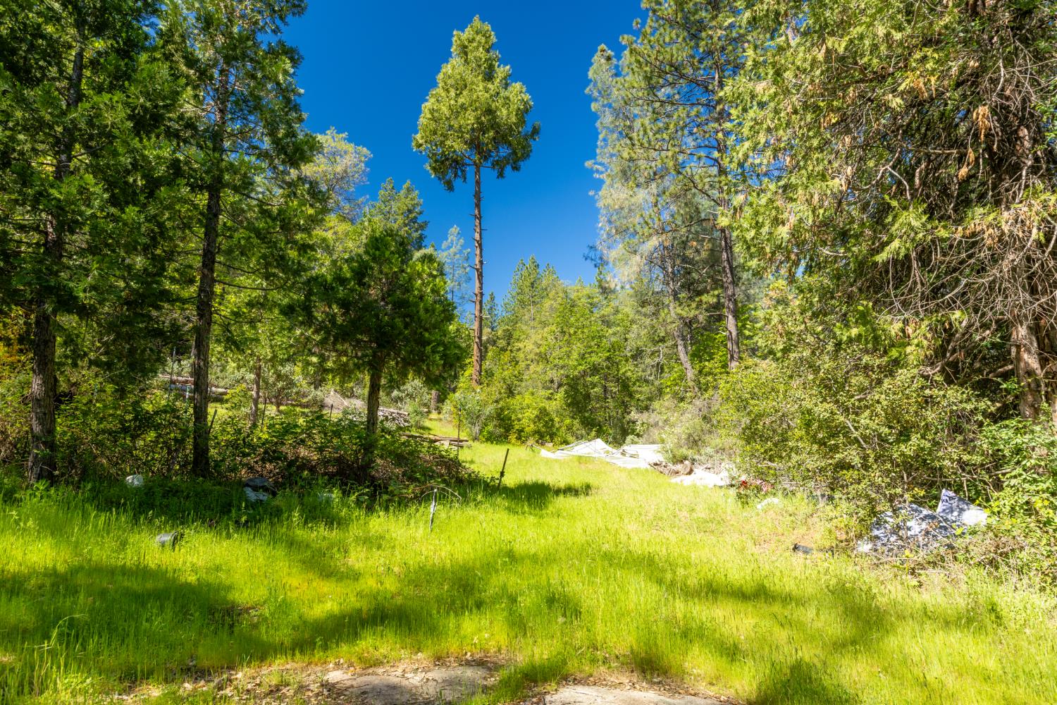 7220 Grizzly Flat Road Somerset, CA 95684 - Photo 18 of 28