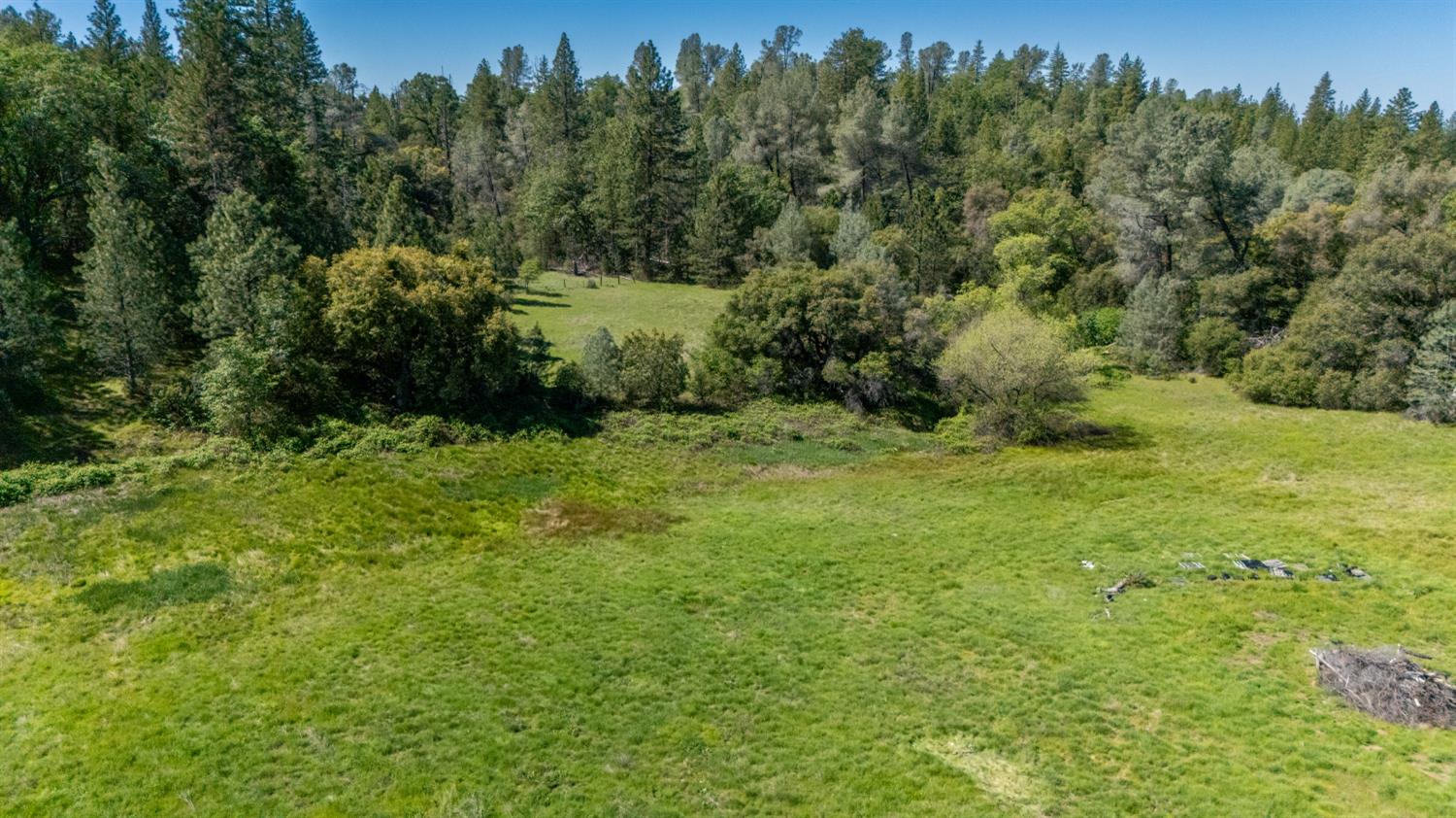 7220 Grizzly Flat Road Somerset, CA 95684 - Photo 27 of 28 a view of a green field with lots of bushes