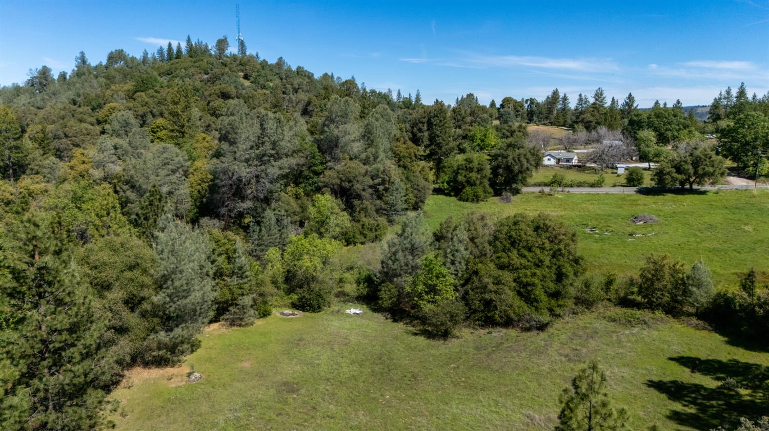 7220 Grizzly Flat Road Somerset, CA 95684 - Photo 28 of 28 a view of a bunch of trees and bushes