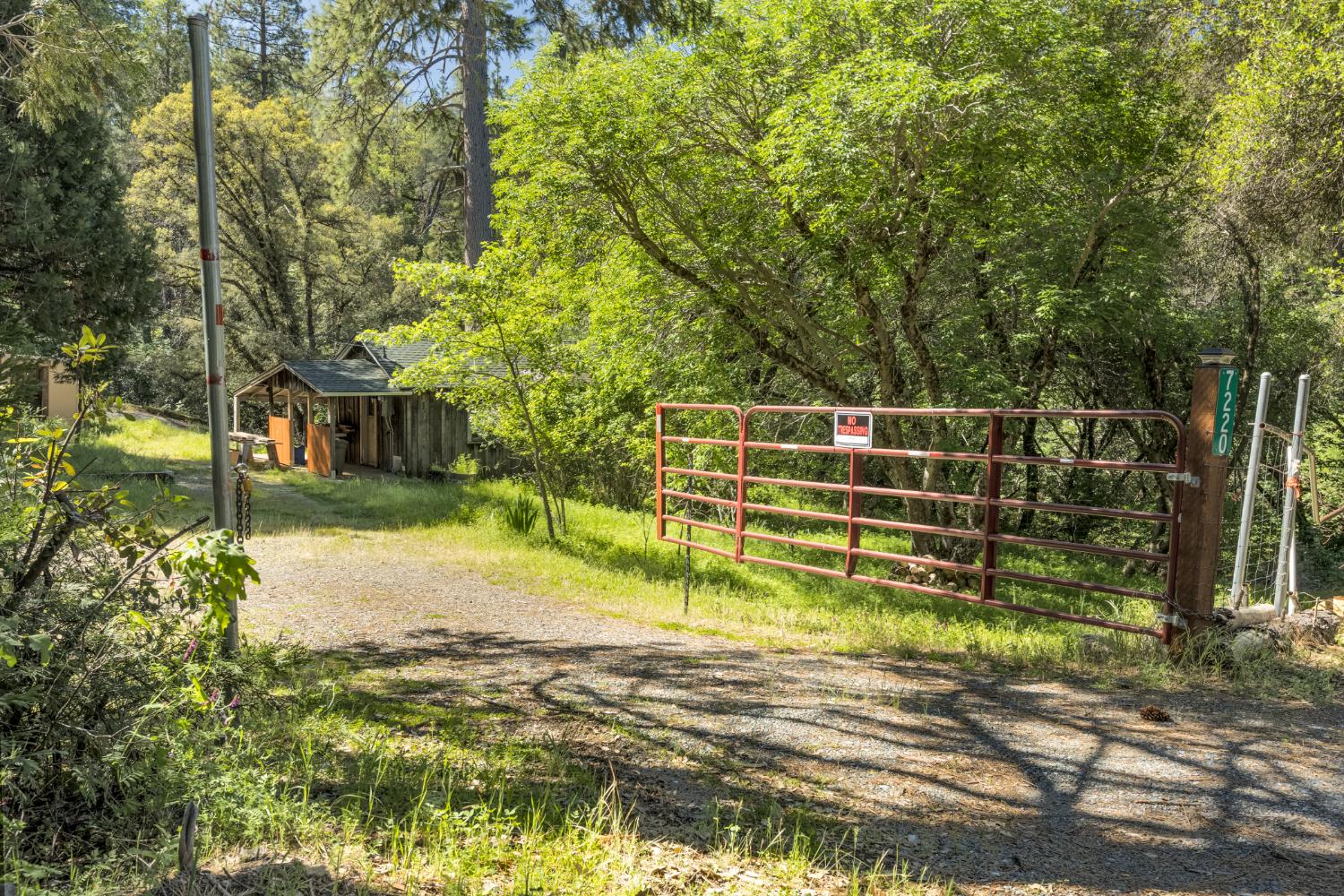 7220 Grizzly Flat Road Somerset, CA 95684 - Photo 3 of 28 a view of a house with swimming pool