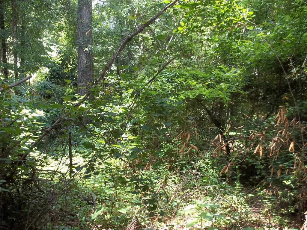 100 Sunrise View Anderson, SC 29621 - Photo 10 of 11 Gallery Image 10