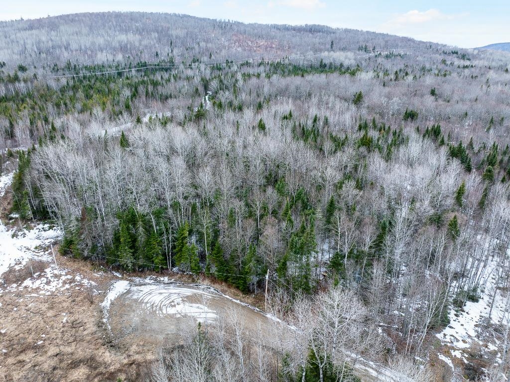 40 Pontook Estates Road Dummer, NH 03588 - Photo 1 of 24