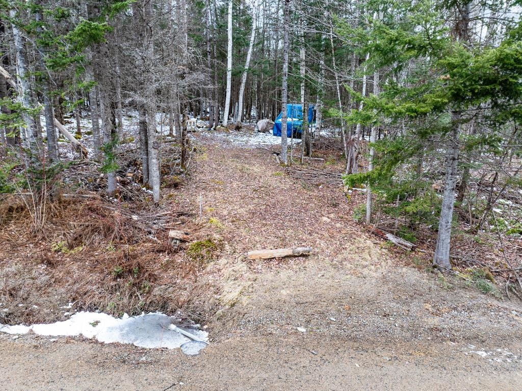 40 Pontook Estates Road Dummer, NH 03588 - Photo 19 of 24