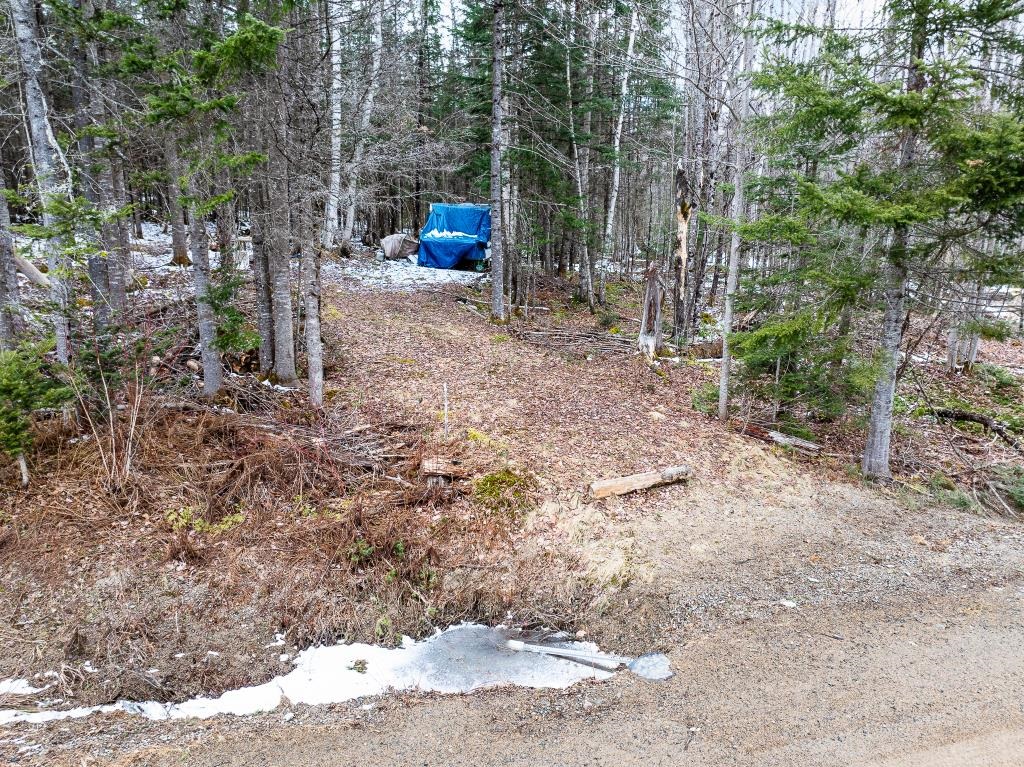 40 Pontook Estates Road Dummer, NH 03588 - Photo 20 of 24