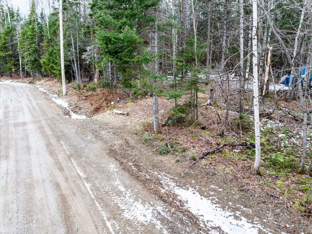 40 Pontook Estates Road Dummer, NH 03588 - Photo 21 of 24