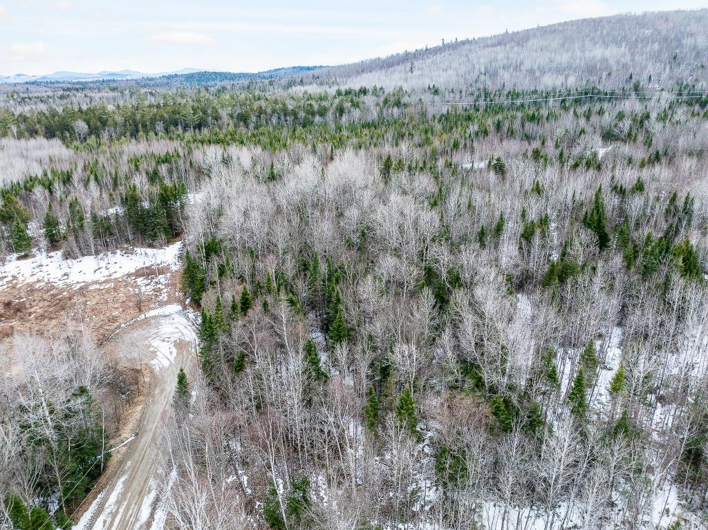 40 Pontook Estates Road Dummer, NH 03588 - Photo 22 of 24