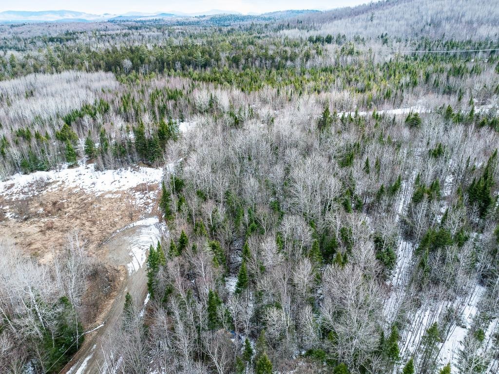 40 Pontook Estates Road Dummer, NH 03588 - Photo 5 of 24