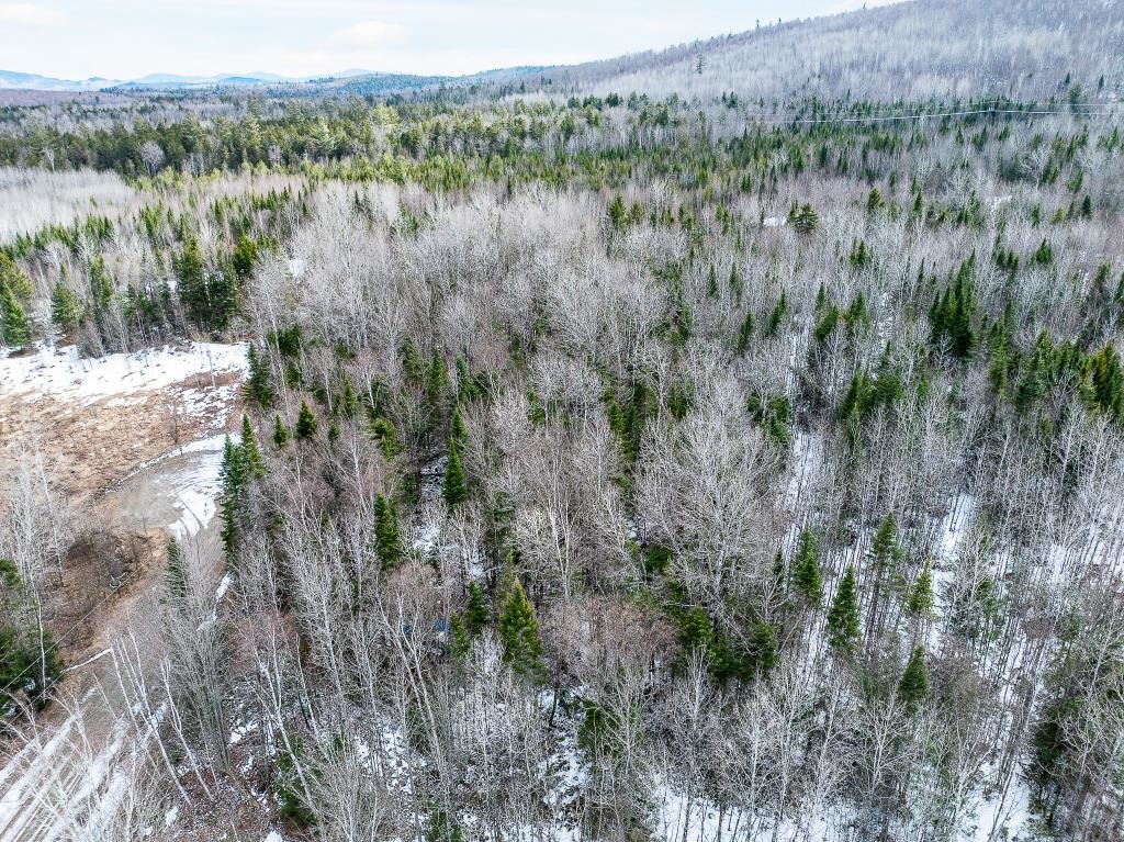 40 Pontook Estates Road Dummer, NH 03588 - Photo 7 of 24
