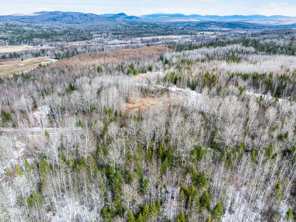 40 Pontook Estates Road Dummer, NH 03588 - Photo 8 of 24