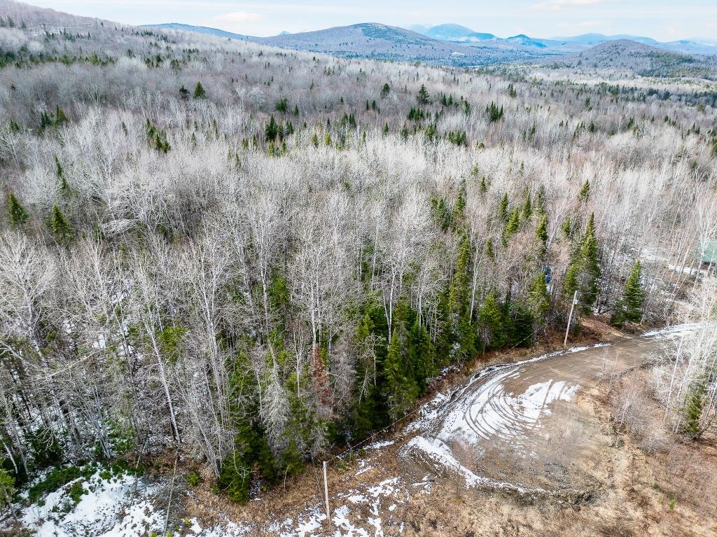 40 Pontook Estates Road Dummer, NH 03588 - Photo 10 of 24