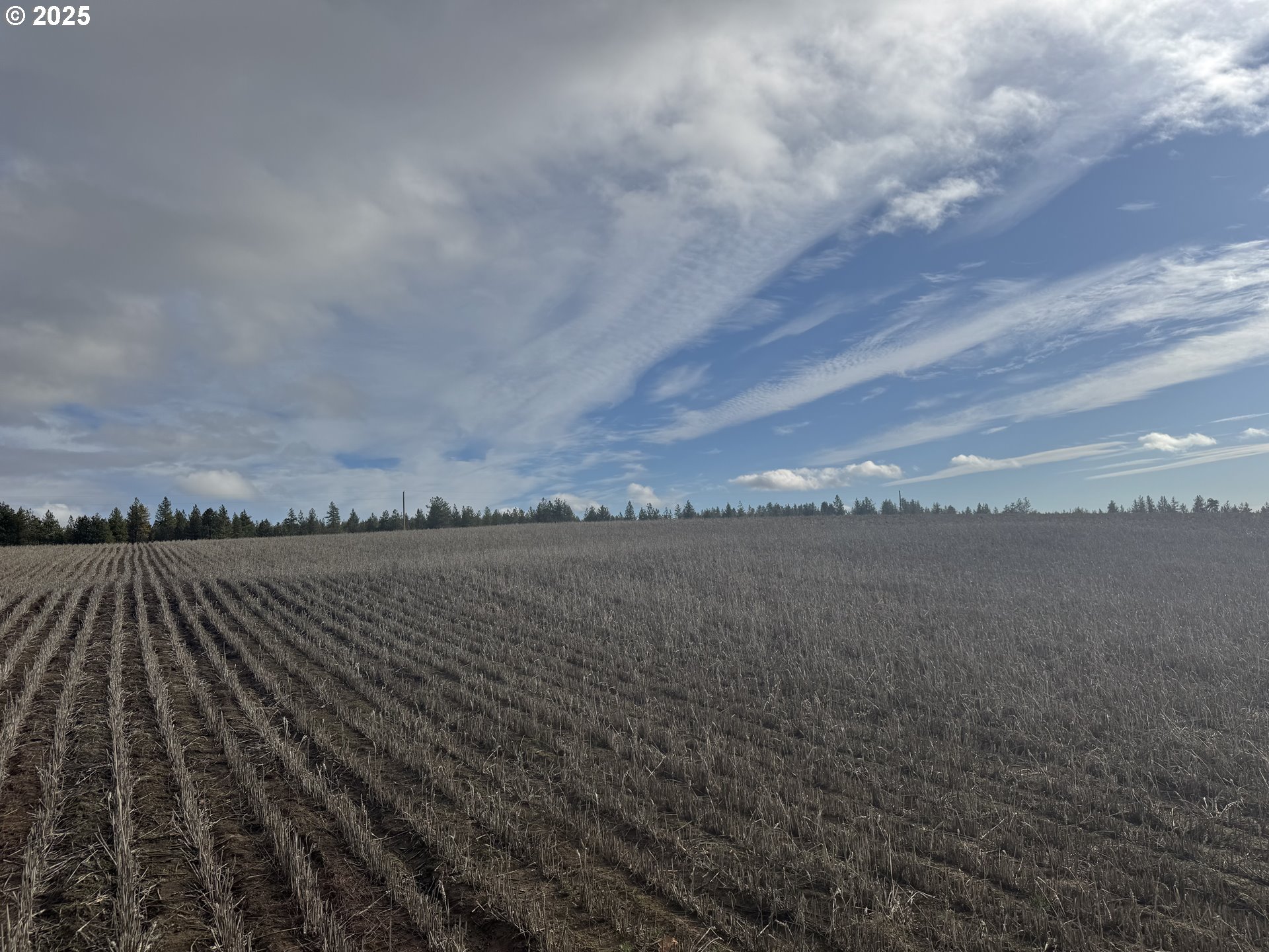 2 Mountainview Road, Unit 2 Goldendale, WA 98620 - Photo 4 of 12