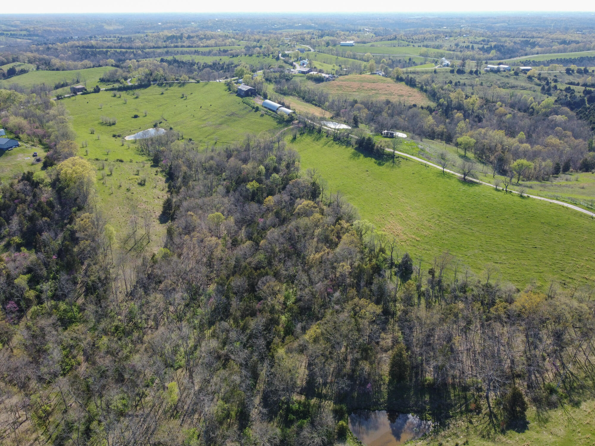 214-acres Keefer Road Corinth, KY 41010 - Photo 4 of 39 Keefer-41