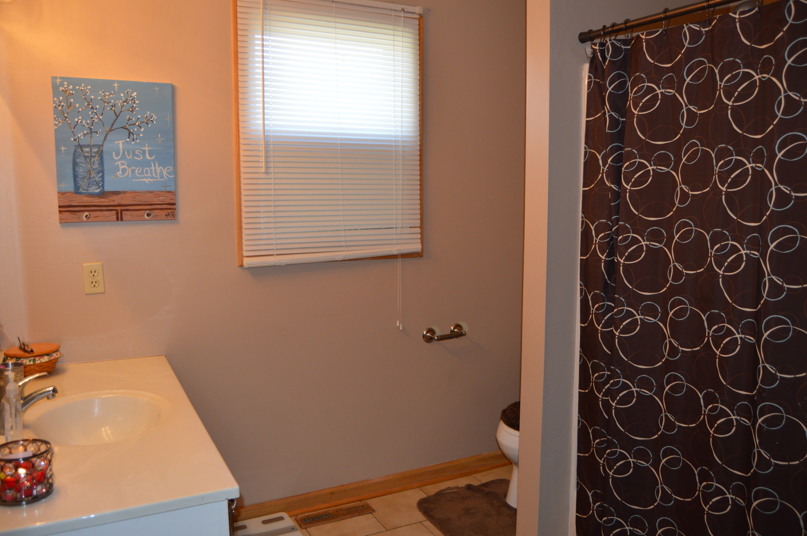 1260 Deerpath Drive Morris, IL 60450 - Photo 10 of 13 a bathroom with a sink and a toilet