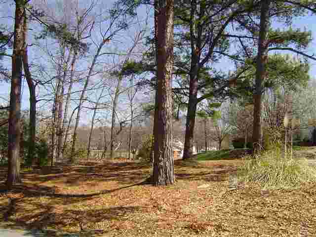 10 Watson Road Travelers Rest, SC 29690 - Photo 17 of 18 Gallery Image 17