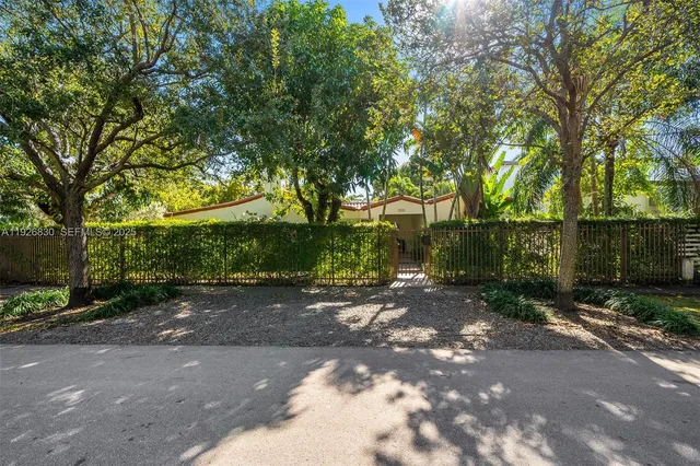 a view of a yard with plants and trees