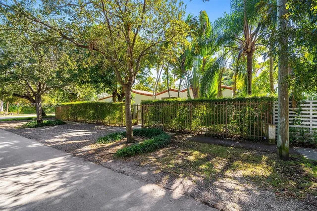 a view of a tree in the middle of a yard