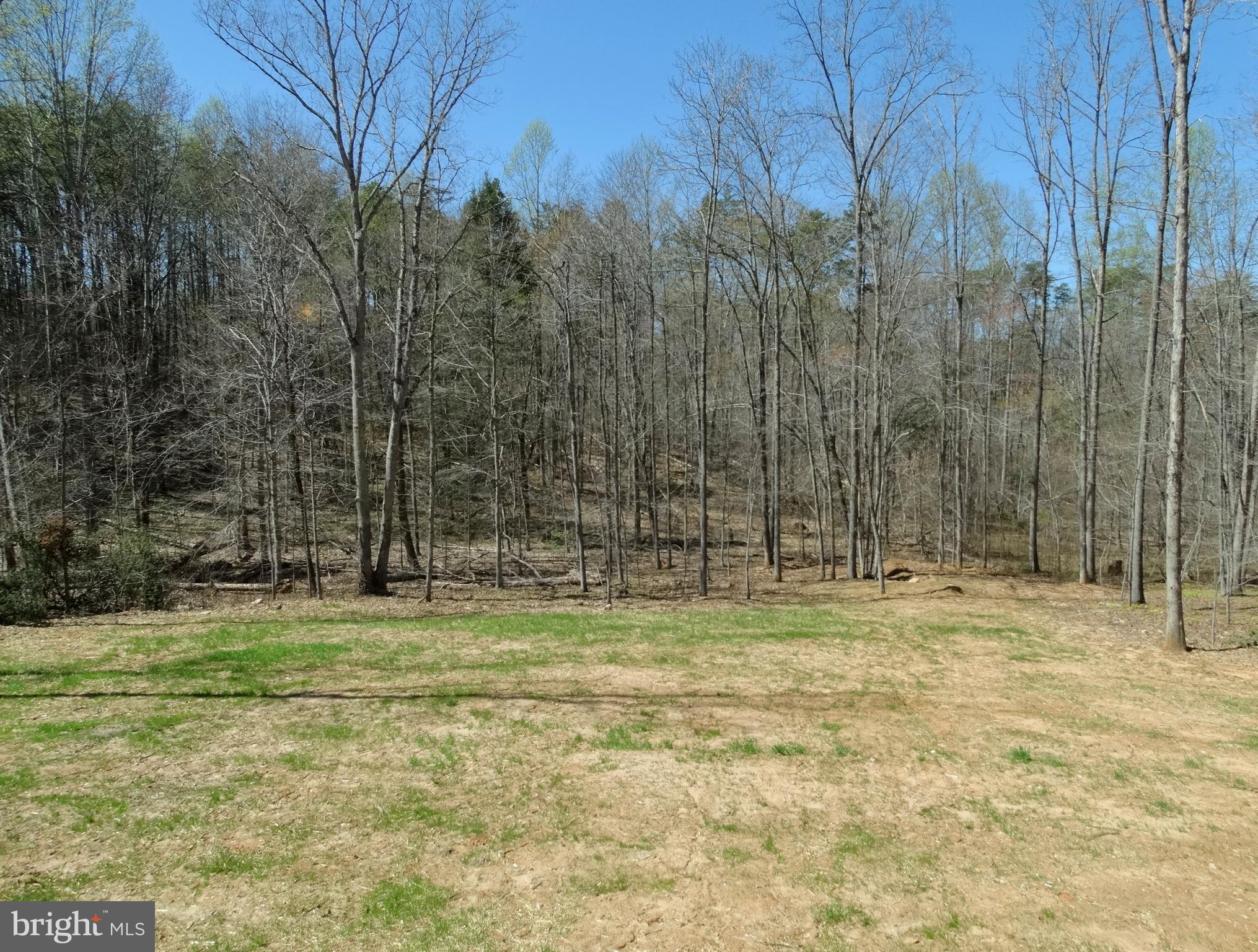 22217 Lahore Road Orange, VA 22960 - Photo 4 of 15 Back Yard