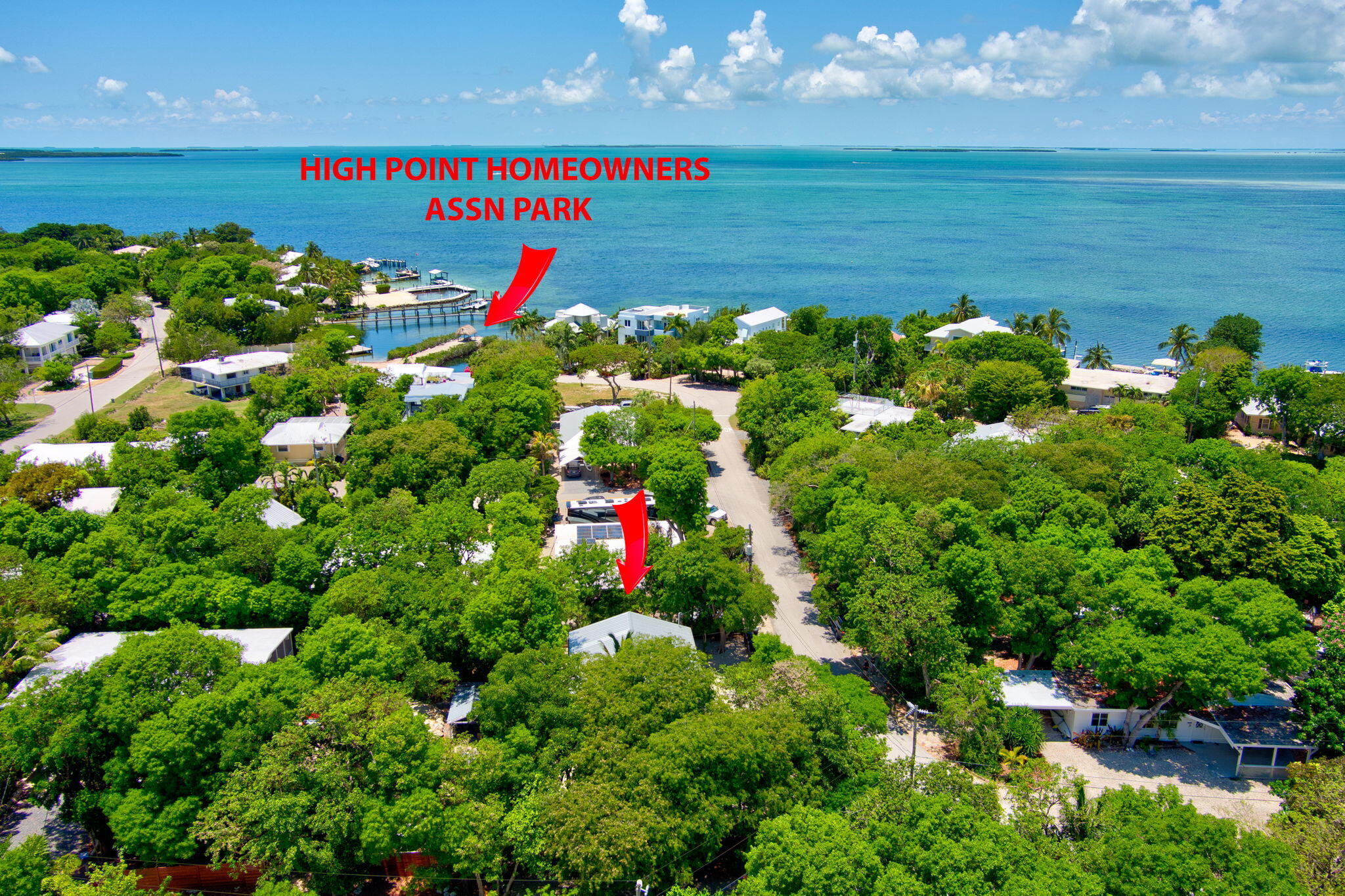 125 South Rolling Hill Road Tavernier, FL 33070 - Photo 41 of 48 a view of a flower