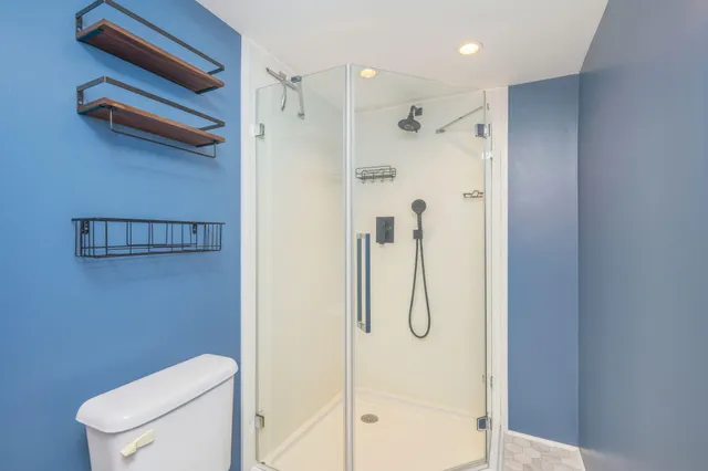 a bathroom with a shower and toilet