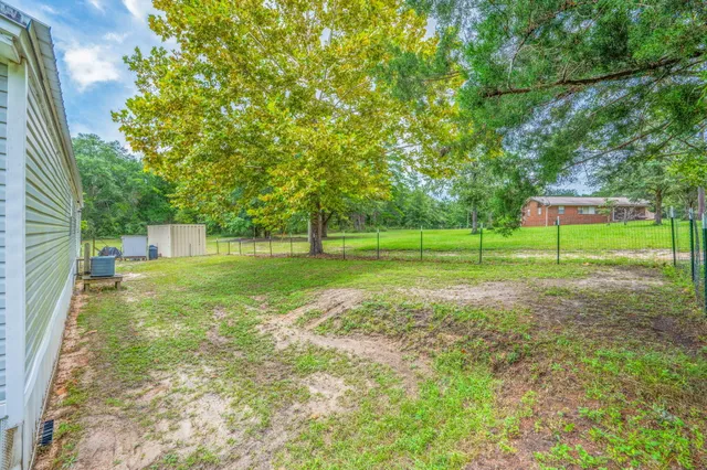 a view of a park with large trees