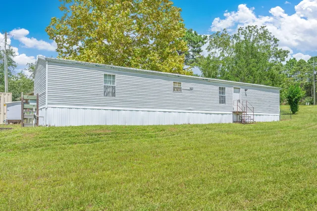 a view of a backyard with plants and large trees