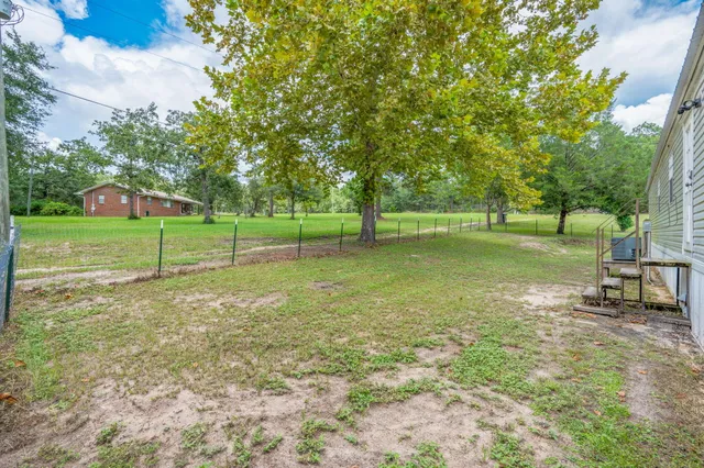 a view of a park with a large tree
