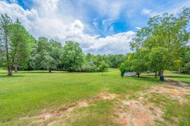 a view of a field of grass and trees