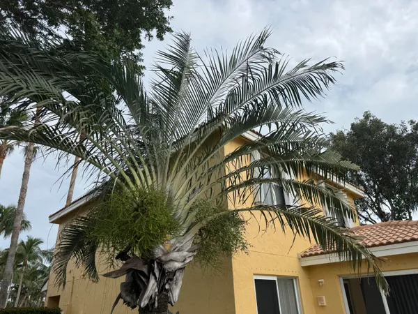 $2,900 | 3472 Commodore Court, West Palm Beach, FL 33411