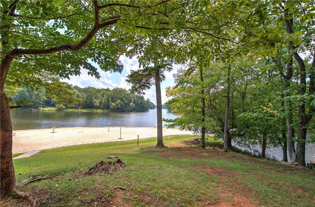 298 Lake View Trace Jasper, GA 30143 - Photo 6 of 31 a view of a lake with a tree