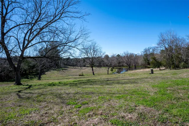 a view of field with trees in the background