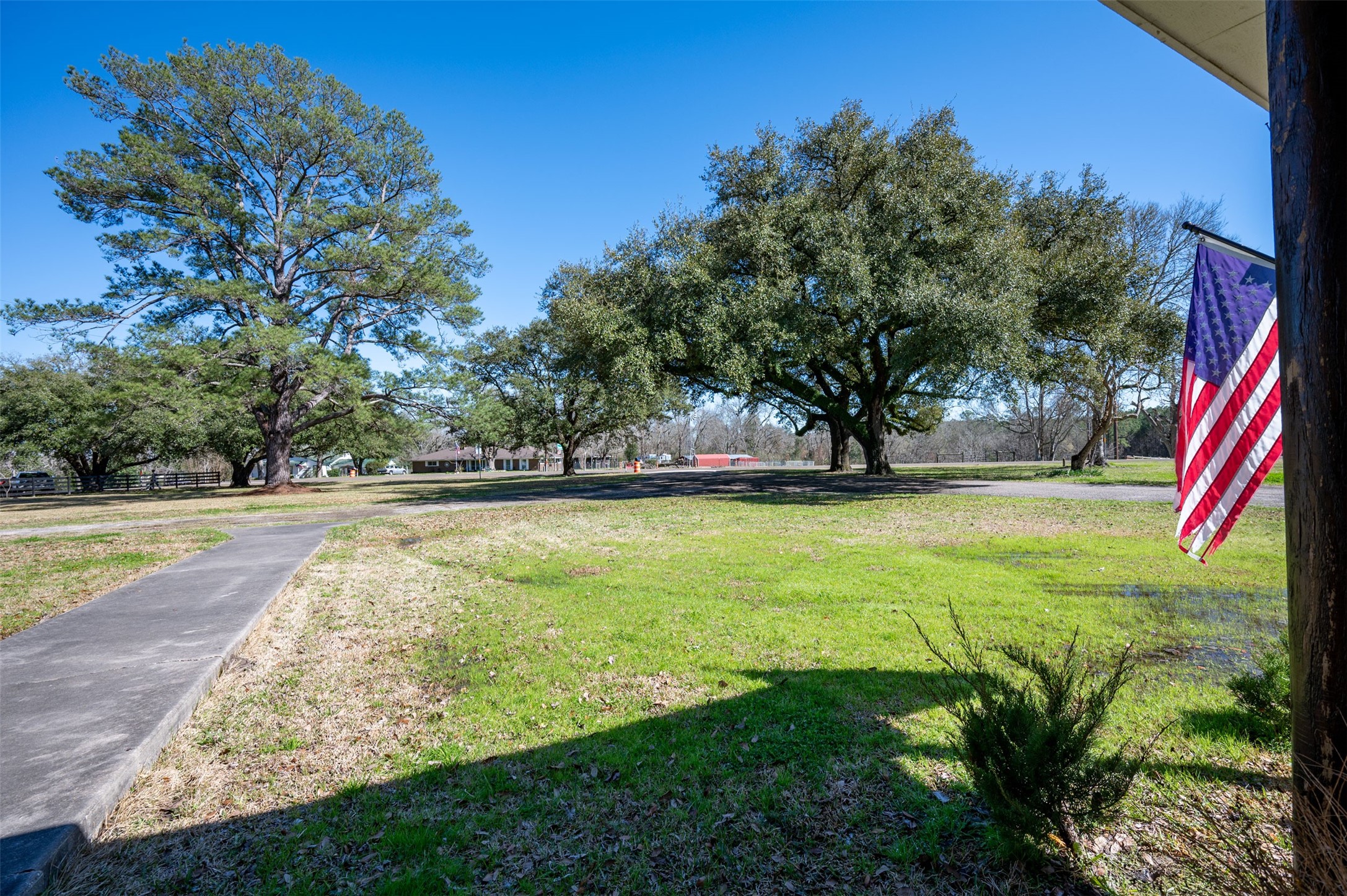 228 Camden Road Chester, TX 75936 - Photo 46 of 50 a view of swimming pool with a yard