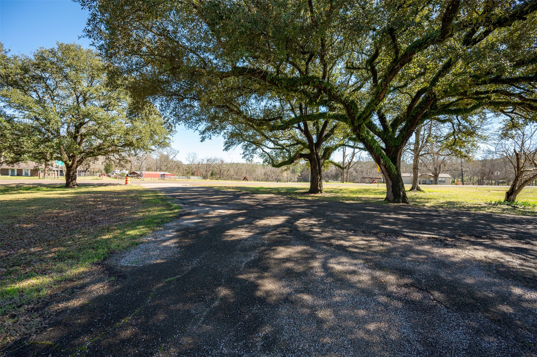 228 Camden Road Chester, TX 75936 - Photo 47 of 50 a view of yard with tree