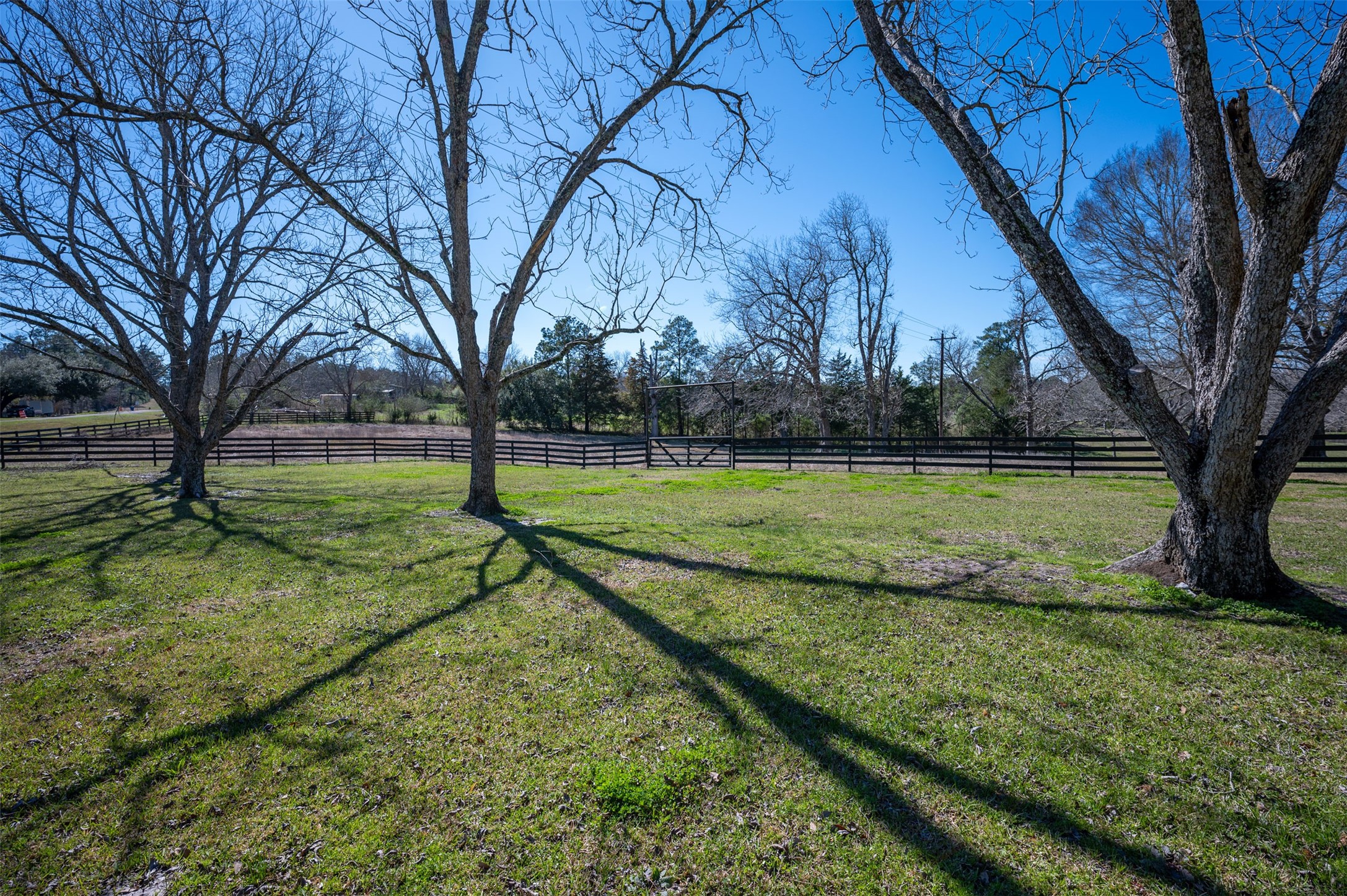 228 Camden Road Chester, TX 75936 - Photo 5 of 50 a view of a park with large trees