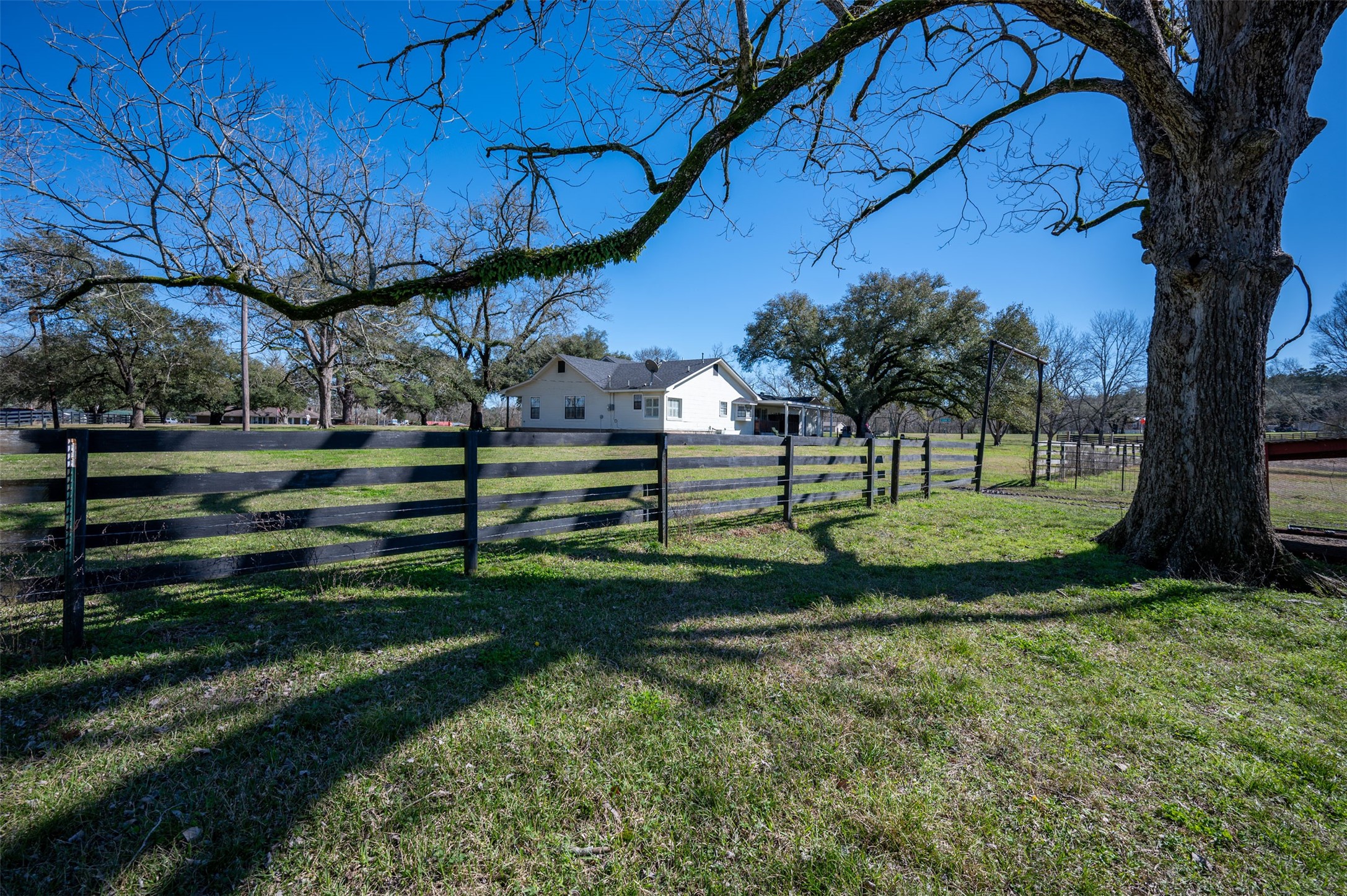 228 Camden Road Chester, TX 75936 - Photo 6 of 50 a view of a park with large trees