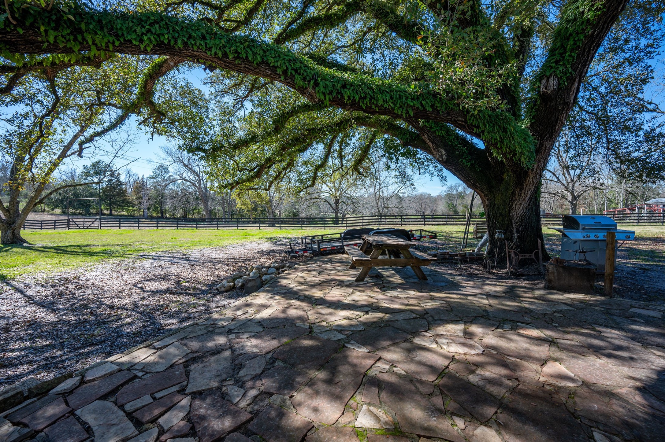 228 Camden Road Chester, TX 75936 - Photo 9 of 50 a view of a park with large trees