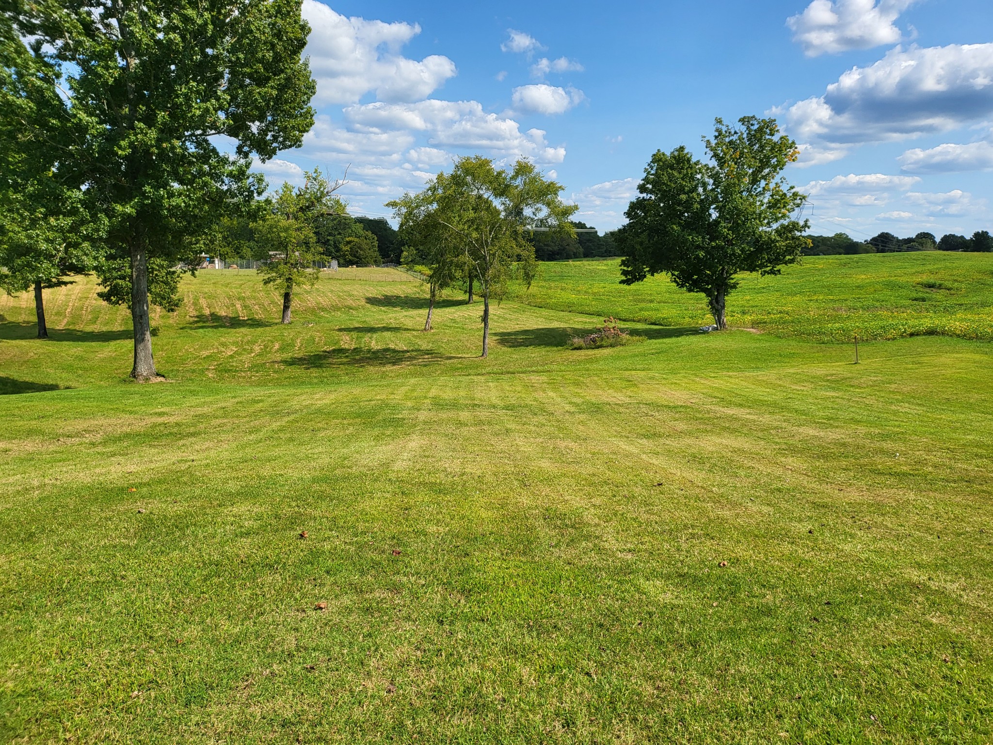 2013 Rieves Bend Road Columbia, TN 38401 - Photo 28 of 34 Gallery Image 28