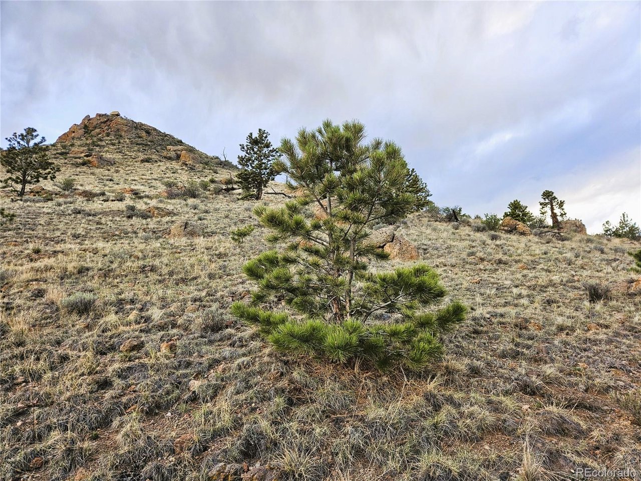 25468 Sioux Road Hartsel, CO 80449 - Photo 17 of 25